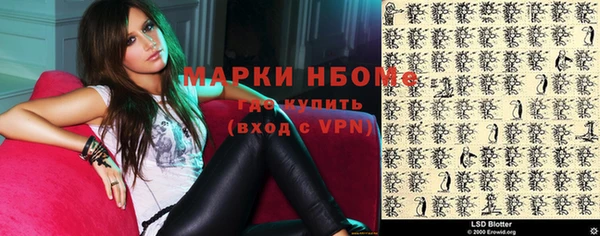 индика Алзамай