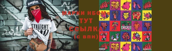 индика Алзамай