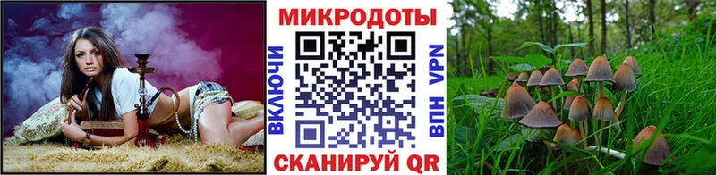 Псилоцибиновые грибы Magic Shrooms  где можно купить наркотик  OMG   Талица 