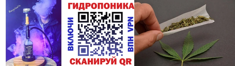 где можно купить наркотик Талица Бошки марихуана гибрид